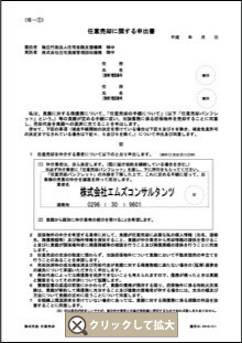 �C�Ӕ��p�Ɋւ���\���o��